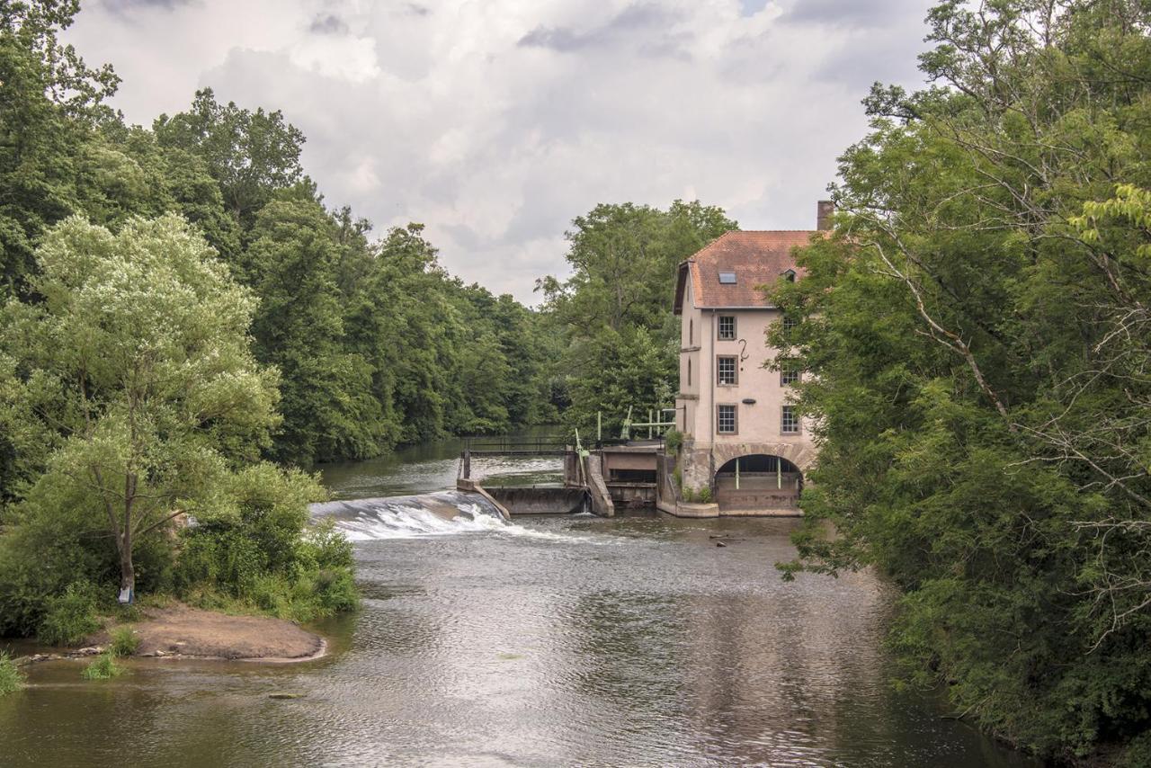 Charming Louise Apartment Saarbrucken Bagian luar foto